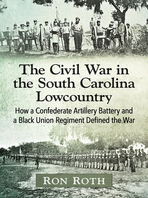 cover image of The Civil War in the South Carolina Lowcountry